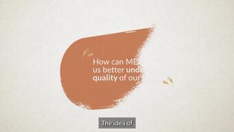 Why is MEAL important for Quality of Care in MSF
