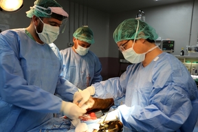 Ramtha Hospital, Jordan