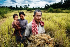 MSF Malaria Project in Cambodia