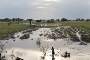 Seasonal Malaria Chemoprotection (SMC) in Aweil