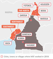 MSF projects in Cameroon, 2018 - EN