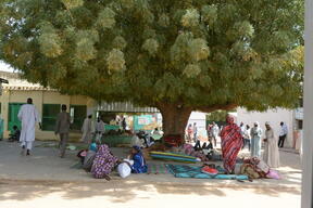 Conflict in West Darfur