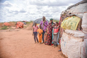 Rise in new arrivals in Dadaab, Kenya