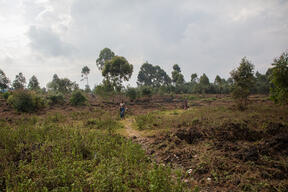 Collection of wood and food around the camp of Kanyaruchinya