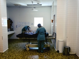 Obstetric care in Timbuktu