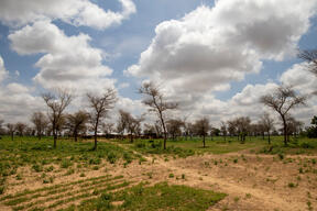 Niger: climate change adds more hardship for the most vulnerable