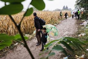 Rerfugees In Bapska, Serbia