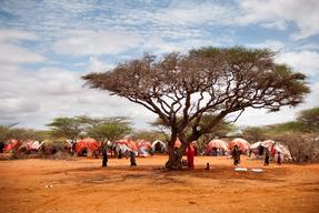 Guri-el Displaced camps