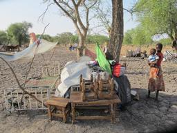 Renewed conflict in Upper Nile, South Sudan