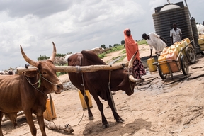 IDP Camp Kukerita Yobe State Nigeria