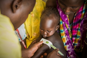 Lake Tchad Crisis: Responding to the humanitarian consequences of violence  (Extreme North Cameroon)