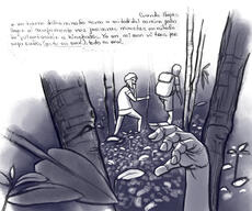 Darien survivor letter illustration 3