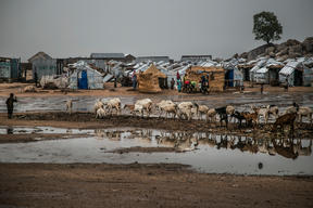 Surviving conflict in northeast Nigeria