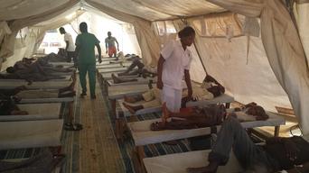 Bauchi cholera