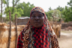 Niger: Treating water in communities to prevent malaria