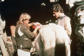 FR00387.jpg
