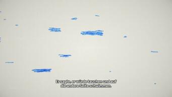 MIGRANT CHILDREN IN MEXICO / ANIMATED SHORT FILM /FULL VERSION /DE