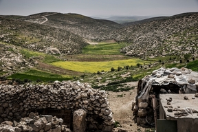 Palestina.ElPeriodico_0.jpg