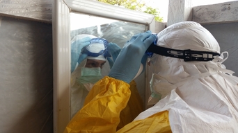 Luis Encinas, Ebola expert