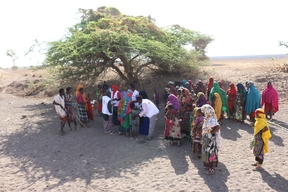 Asbuli 2016