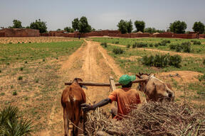 Nutritional crisis in northwest Nigeria
