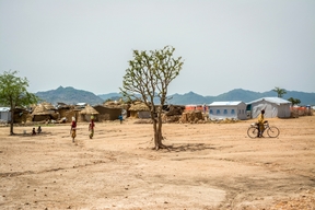 Lake Tchad Crisis: Responding to the humanitarian consequences of violence  (Extreme North Cameroon)