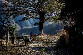 Guerrero (Mexico): Under  siege