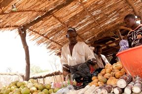 Lead poisoning and gold processing in Zamfara state, Nigeria, Ap