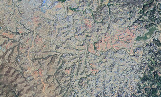 MAPS - Historical Maps of the Refugee Camps /Before and After