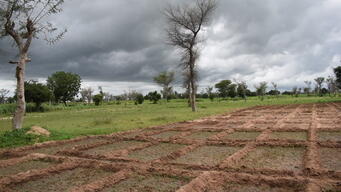 Humanitarian crises and climate change in Cameroon - Webclip INTER