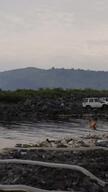 WASH Video INT