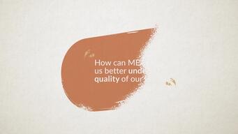 Why is MEAL important for Quality of Care in MSF