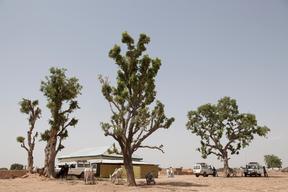 Lead poisoning and gold processing in Zamfara state, Nigeria, Ap