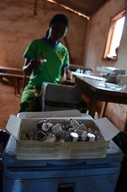 Bangassou - multi antigen vaccination campaign.