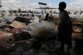 Reaping the rewards of recycling in Harare