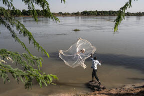 Mielizi camp, N'Djamena, Chad