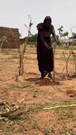 [INT] Camp for new sudanese refugees in Marjan school