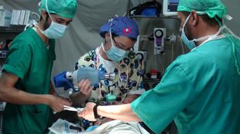 Gaza, reconstructive surgery program