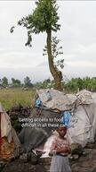 North Kivu: Tomorrow or the day after, we're going home (9x16 PRINCE-EN)