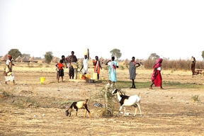 MSF Mayom PHCC, South Sudan