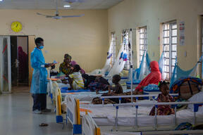 Diphtheria, Kano project