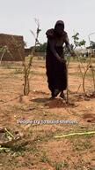 [ENG] Camp For New Sudanese Refugees In Marjan School