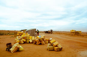 Exploration in Southern Madagascar