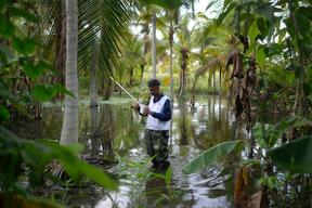 Sucre: How studying mosquito behavior help bring down malaria
