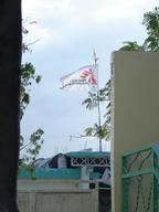 MSF flag, Chocal.jpg