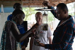 Catching Mosquitoes to Fight Malaria