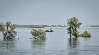 Sukkur area
