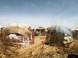 Refugee shelters in Dadaab