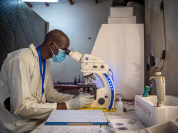 Lab Technician examining blood samples