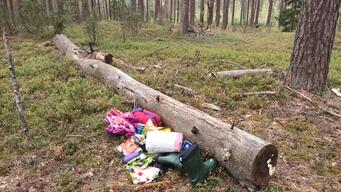 MIGRANT PUSHBACK | Lithuania Belarus Border